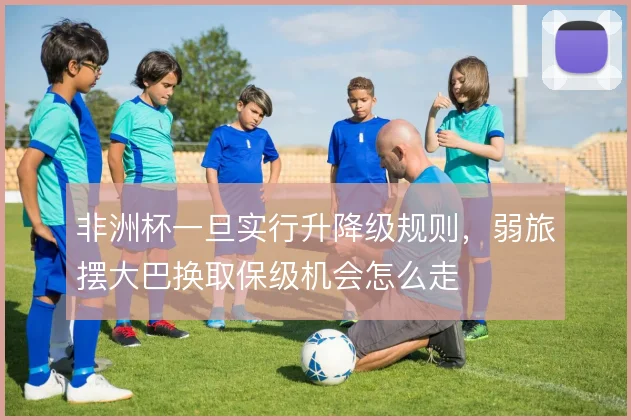 非洲杯一旦实行升降级规则,弱旅摆大巴换取保级机会怎么走
