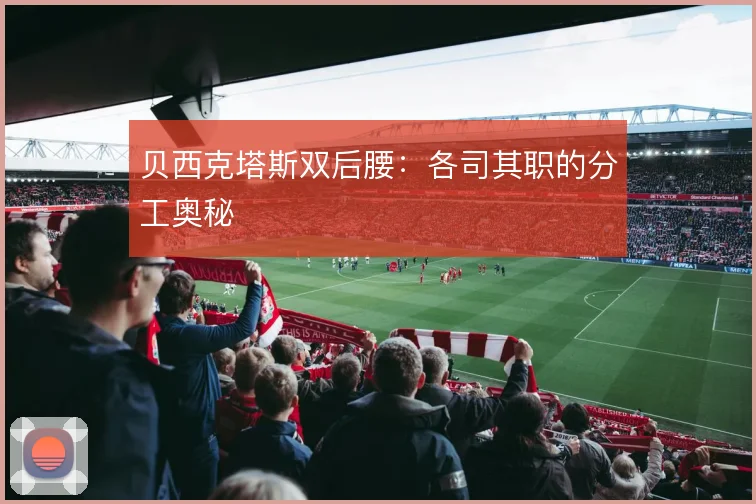贝西克塔斯双后腰:各司其职的分工奥秘